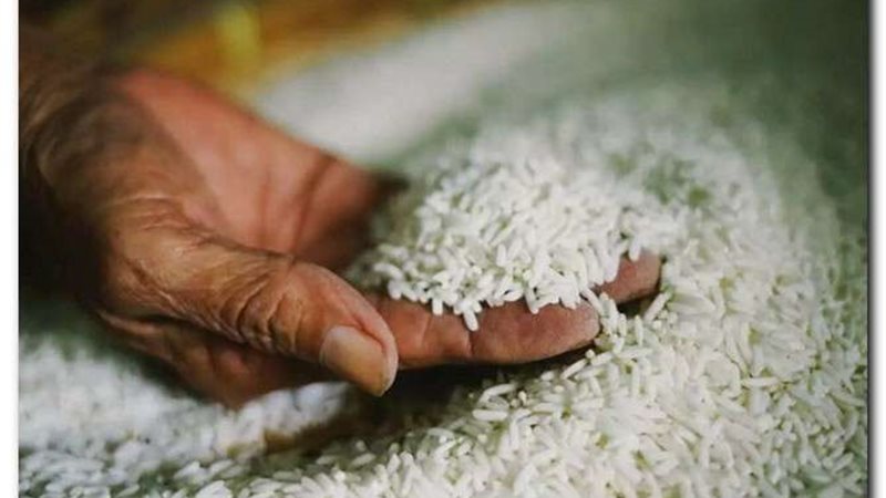 الأرز