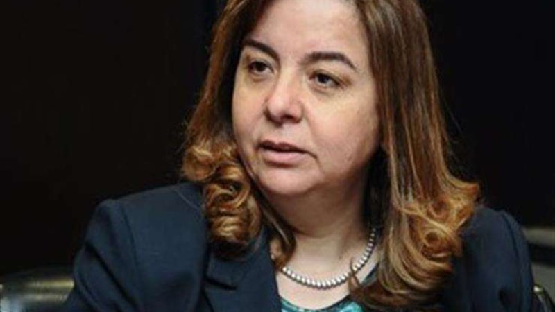 المهندسة مى عبدالحميد