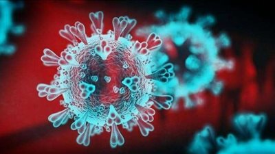 الصحة تكشف أسباب انخفاض أعداد كورونا بمصر