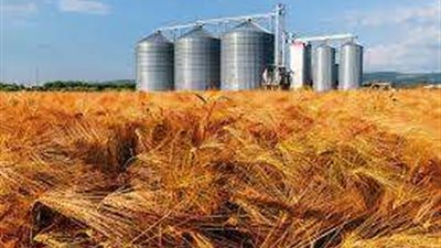 أسعار القمح المحلية والعالمية اليوم الاثنين 28 نوفمبر 2022