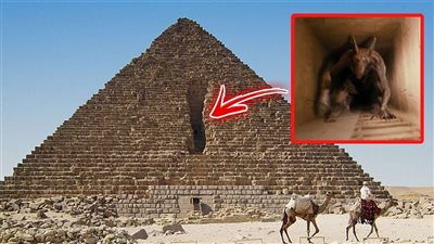 فيديو ثلاثي الأبعاد.. جامعة هارفارد تكشف عن دهاليز وخبايا جديدة داخل الهرم الأكبر بتقنية 3D