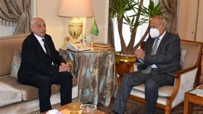 أبو الغيط وعقيلة صالح يبحثان تطورات الوضع في ليبيا