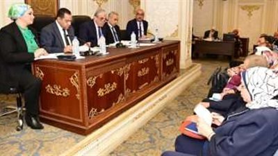 وزير القوي العاملة : نستهدف الوصول لقاعدة بيانات متكاملة للعمالة غير المنتظمة