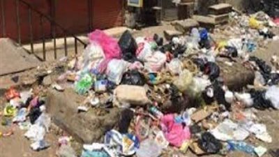 الأجهزة الأمنية تكشف تفاصيل العثور على جثة رضيع داخل مقلب قمامة بقنا