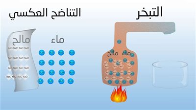 مرعي: تحلية مياه البحر تعتمد على نظرية تسخين المياه لدرجة الغليان