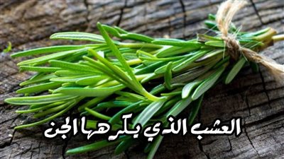 ماهي العشبة المعجزة التي يكرهها الجن وتقوم بالقضاء عليه ؟