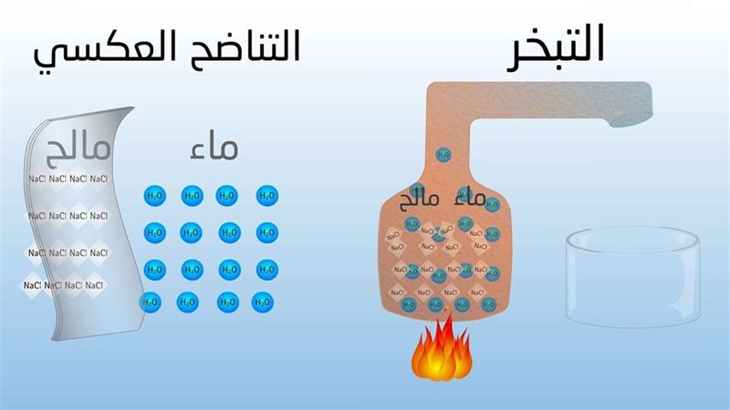 تحلية المياه