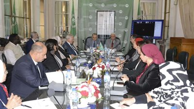 معهد البحوث والدراسات العربية يناقش الواقع الأكاديمي والبحثي للعلوم السياسية بالجامعات العربية