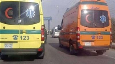 مصرع وإصابة 10 أشخاص إثر انقلاب ميكروباص على طريق رأس غارب