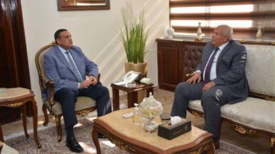 وزير التنمية المحلية يتابع مع محافظ الوادي الجديد الموقف التنفيذي لـ 