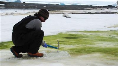 جارديان: اختفاء 28 تريليون طن 