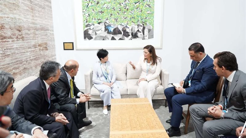 وزيرة التخطيط والتنمية