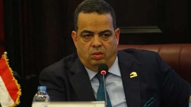 النائب عصام عفيفي