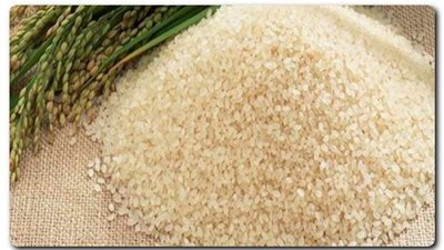 التموين: لدينا فائض أرز 400 ألف طن سنويًا.. تفاصيل