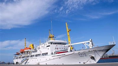 بالمستند.. ميناء دمياط تعلن عن عدم التعامل مع أي شاحنات قبل تسجيلها عبر الرابط