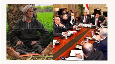 زراعة البرلمان تناقش تدني أسعار توريد القطن عن العام الماضي رغم ارتفاعه عالميا