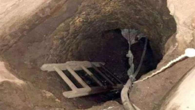أرشيفية