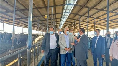 وزير الزراعة: تكليفات رئاسية بالاهتمام بالثروة الحيوانية ورفع كفاءة المزارع لسد الفجوة من اللحوم