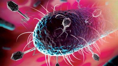 الصحة تعلن عن موعد توفير لقاحات كورونا في مصر