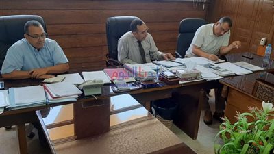 محافظ شمال سيناء يؤكد علي أهمية التحول الرقمي