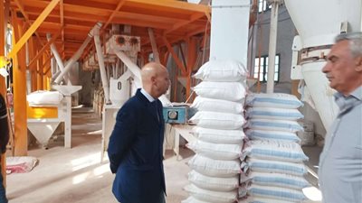 صحة الشرقية تضبط 21 طن دقيق منتهي الصلاحية وتغلق مصنعين للمعجنات في الزقازيق