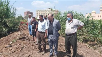 تتغذى على الكلاب والحيوانات الميتة.. ضبط مزرعة قراميط مخالفة ببنى عبيد