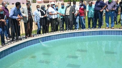 إنشاء محلات تجارية بسور هيئة الشبان العالمية بالخارجة بالوادي الجديد