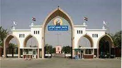 جامعة جنوب الوادي تشارك في الملتقى السنوي الرابع لوحدات مناهضة العنف ضد المرأة