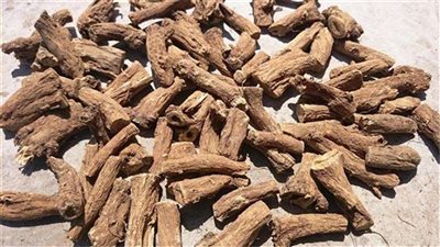 ماذا تعرف عن القسط الهندي؟.. تعرف على الفوائد الطبية والأضرار