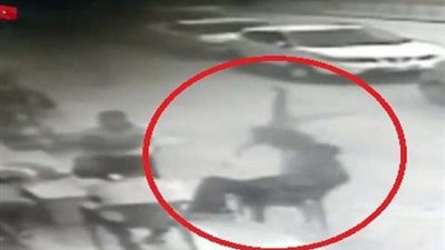 شاب ينقذ حياة طفل سقط من الطابق الثالث.. فيديو