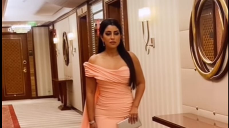 آيتن عامر