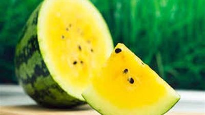 أبرزهم محاربة السرطان.. تعرف على فوائد البطيخ الأصفر