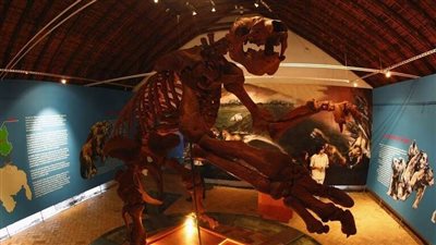 13 مليون سنة.. العثور على لغز حير العلماء