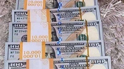 سعر الدولار مقابل الجنيه المصري اليوم الأحد في البنوك