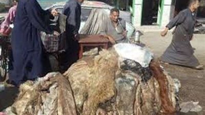 صناعة الجلود تكشف كارثة عن تدهور الأوضاع بمصر.. فيديو