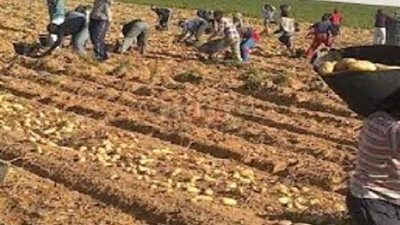 مقاول يعذب 13 طفلا وبجبرهم على العمل المتواصل.. تفاصيل