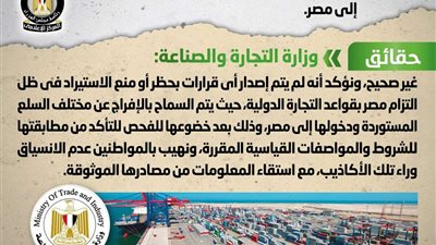 الحكومة تكشف حقيقة إصدار قرار بحظر دخول بعض واردات السلع إلى مصر