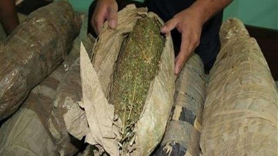 بالفيديو.. إحباط محاولة تهريب نصف طن بانجو بالسويس