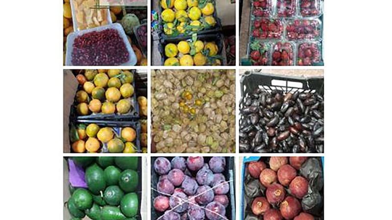 أسعار الفاكهة اليوم