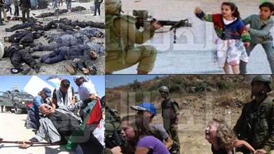 تقرير للأمم المتحدة يكشف عدد الفلسطينيين الذين قتلتهم إسرائيل بالضفة خلال 2022