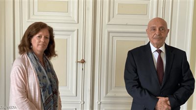 ستيفاني ويليامز: مصر أدت دورًا حاسمًا في تهدئة الأوضاع بليبيا.. فيديو