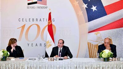 الرئيس السيسي يؤكد أهمية دور القطاع الخاص كقاطرة للنمو من خلال زيادة الاستثمارات ونقل المعرفة