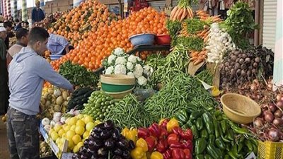 انخفاض بسعر الطماطم والبطاطس خلال الساعات الأولى بالأسواق