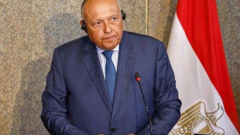 وزير الخارجية سامح