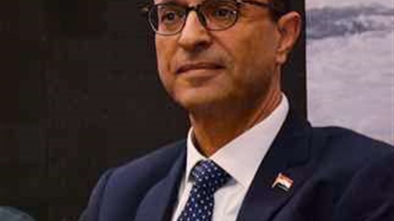 الدكتور أحمد المنشاوى