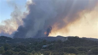 شاهد|| حريق هائل يضرب غابات ولاية كليفلاند الأمريكية