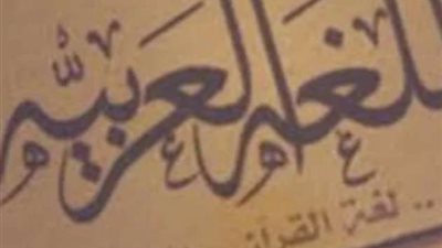 أستاذ علم اجتماع يتحدث عن التحديات التي تواجه اللغة العربية