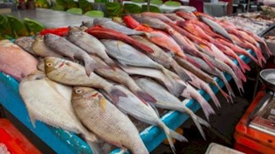 انفجار حوض سمك عملاق داخل فندق ضخم ببرلين يتسبب في كارثة