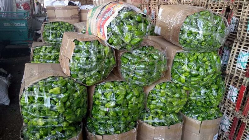 أسعار الخضروات اليوم