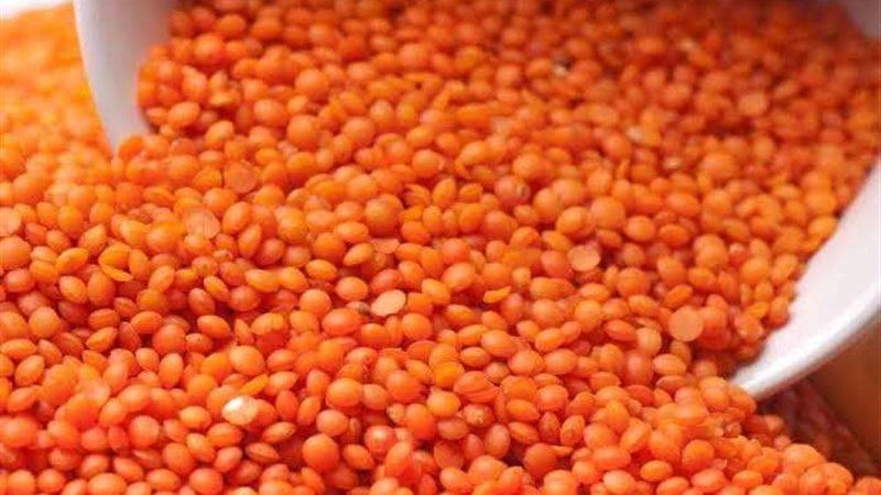 أسعار العدس